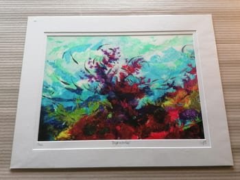 Rough on the Reef